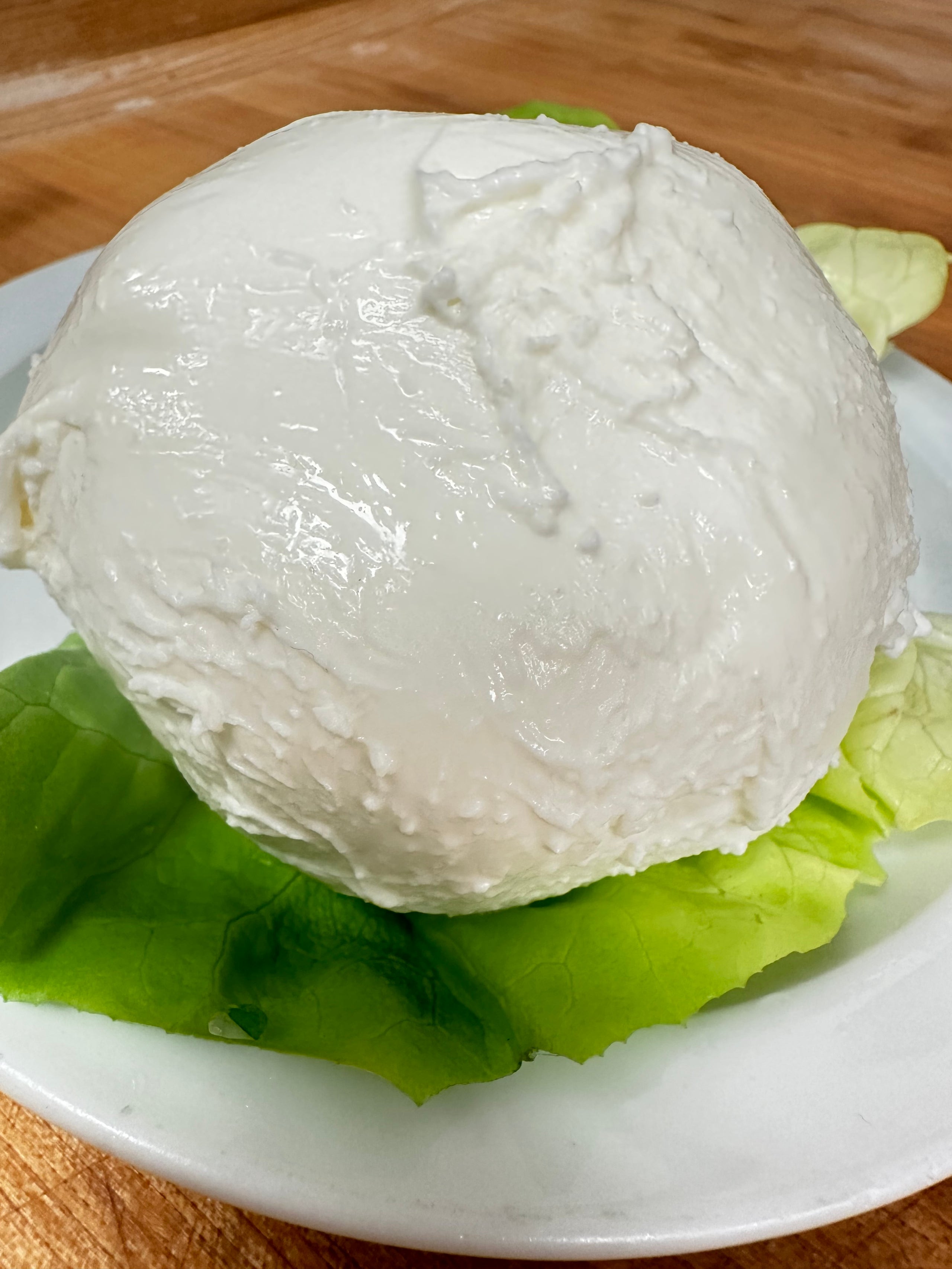 Ball of Mozzarella | Cafe Citti